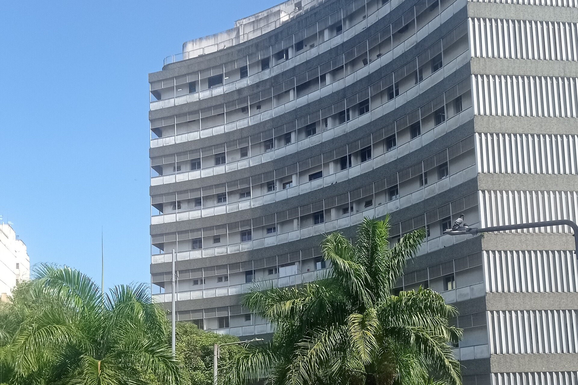 Curved grey facade of a multi-storey hospital building behind palm trees under a blue sky in Rio de Janeiro