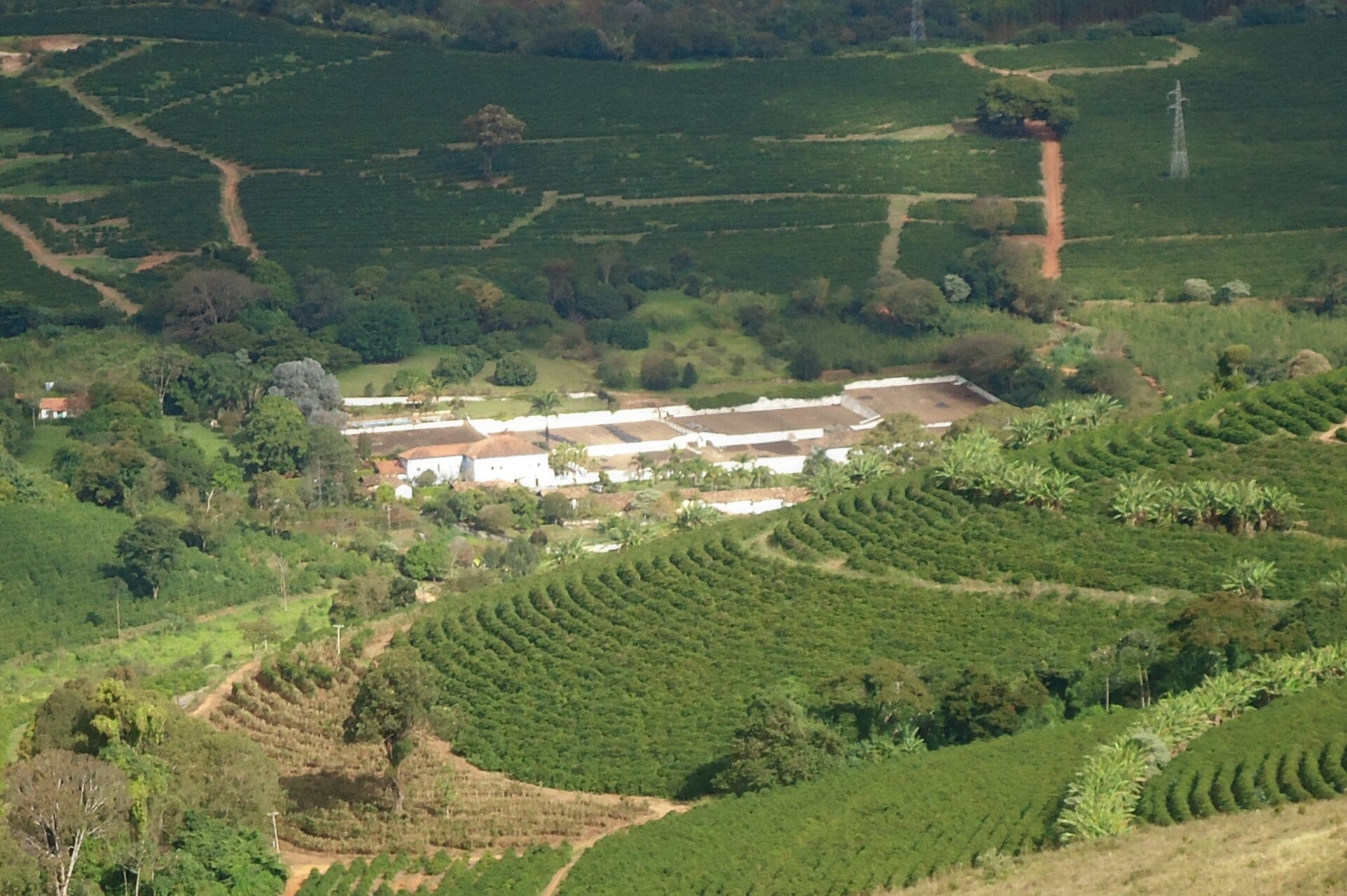 Brazil Coffee Exports to US Jump 86% in September
