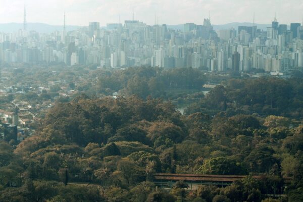 The São Paulo skyline rising behind the green canopy of Ibirapuera Park