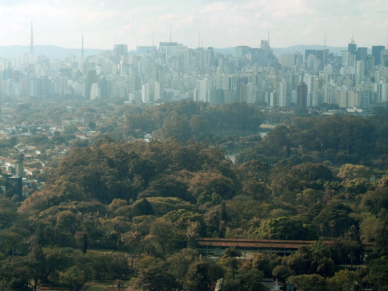 The São Paulo skyline rising behind the green canopy of Ibirapuera Park