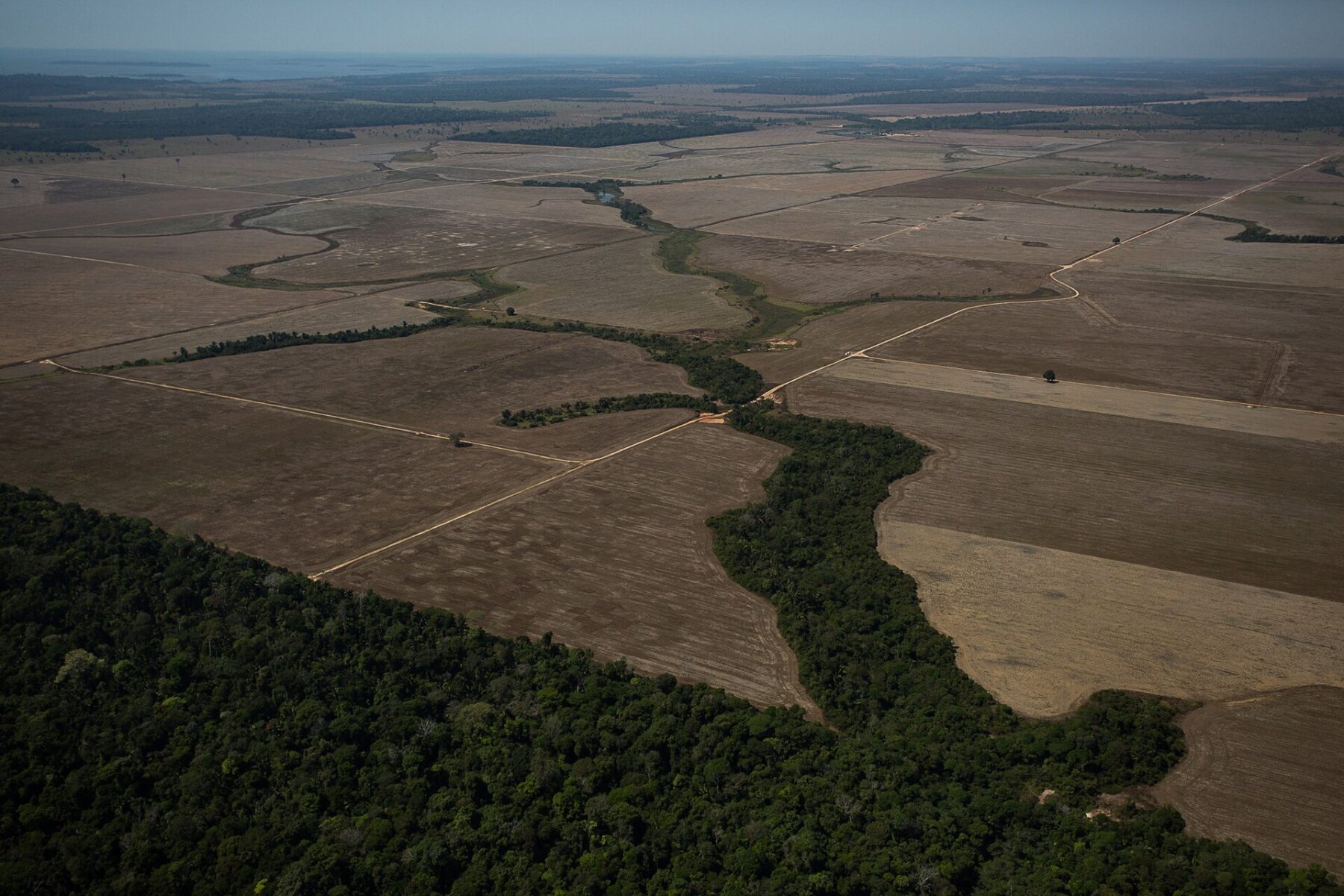 Aerial view of cleared farmland beside a strip of forest near Porto Velho, Rondonia, Brazil