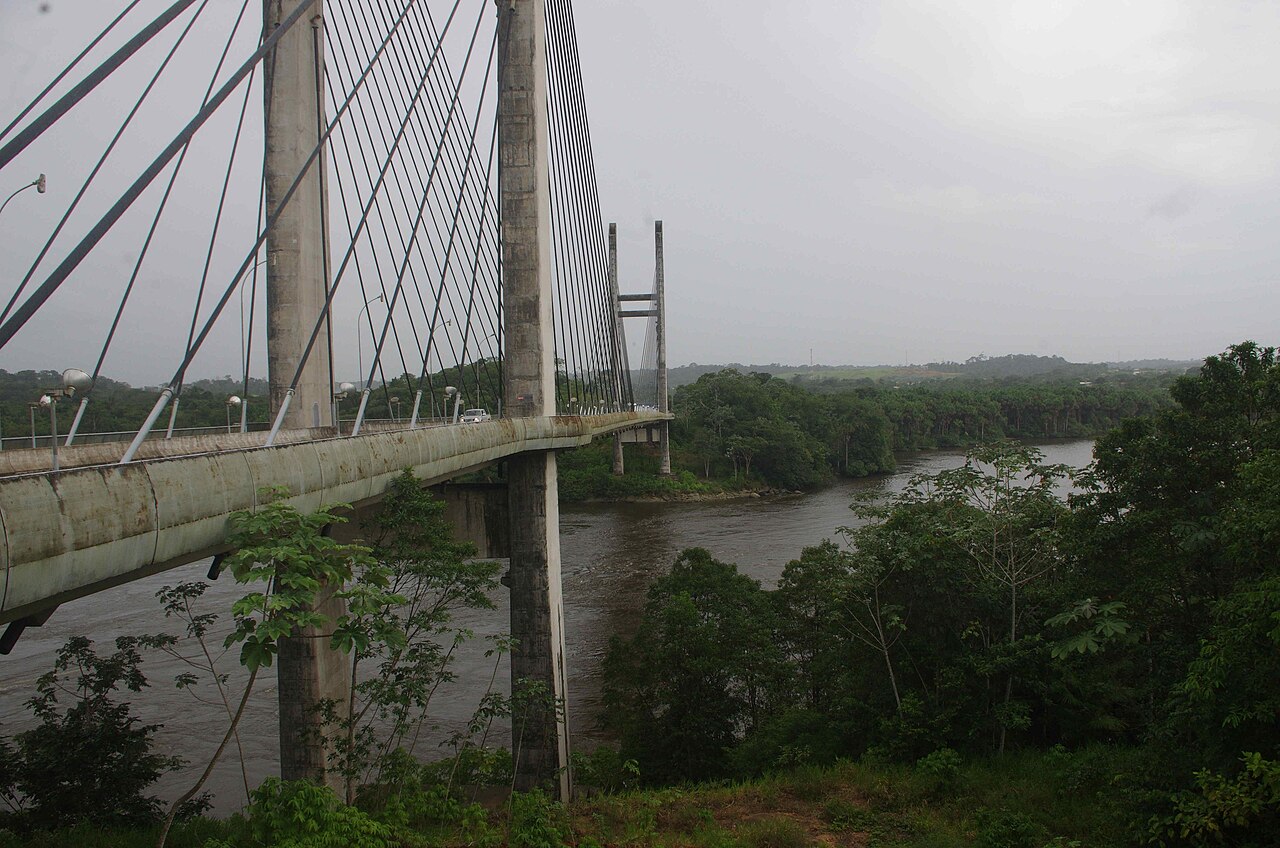 A cable-stayed bridge with tall concrete towers crosses a wide brown river lined with dense green forest under a grey sky