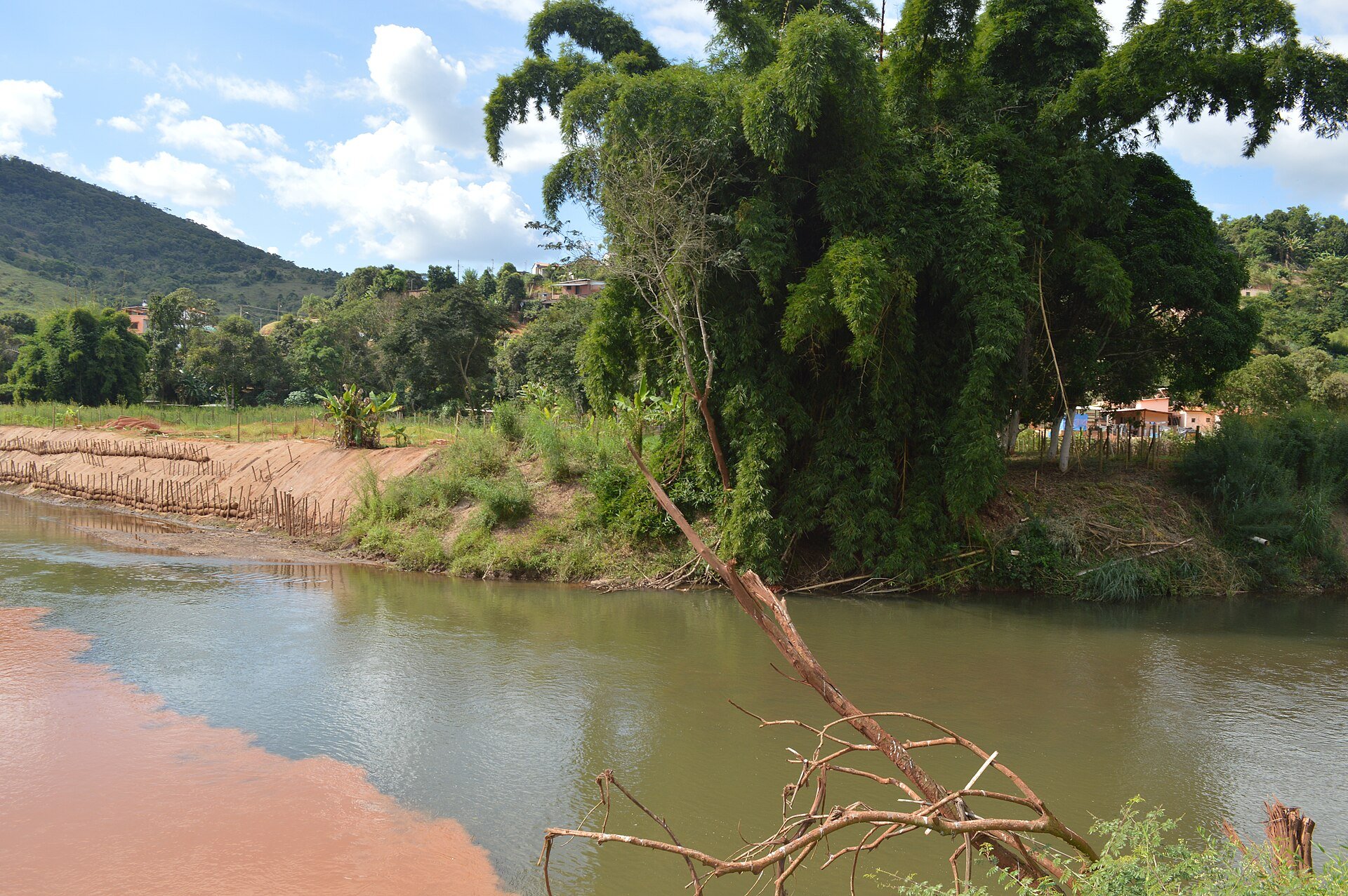 The Rio Doce in Brazil in 2017 with reddish water mixing into the river beside a green bank