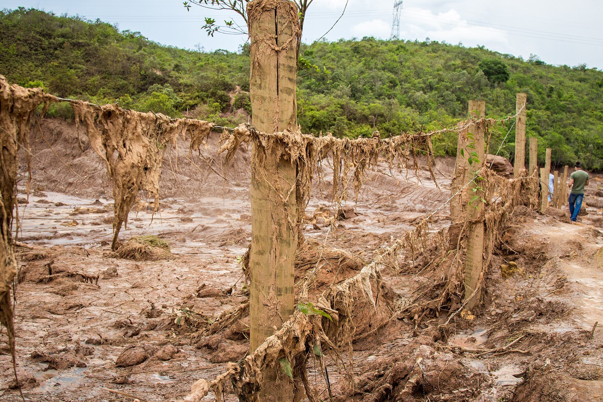Mining mud hanging from a wire fence in Bento Rodrigues after the Fundao dam failure
