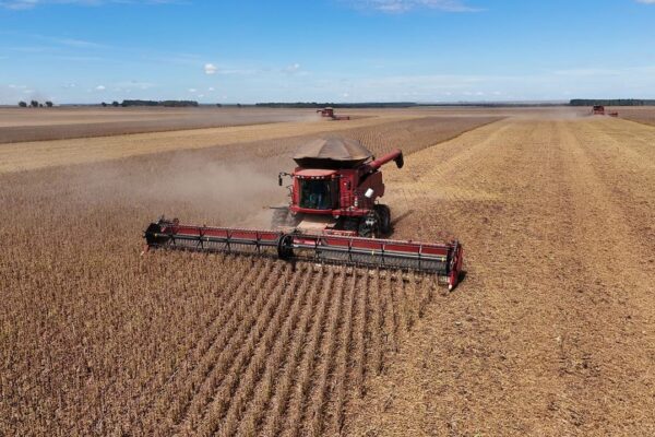 Red combine harvester cutting a field of ripe soybeans under a blue sky in Brazil