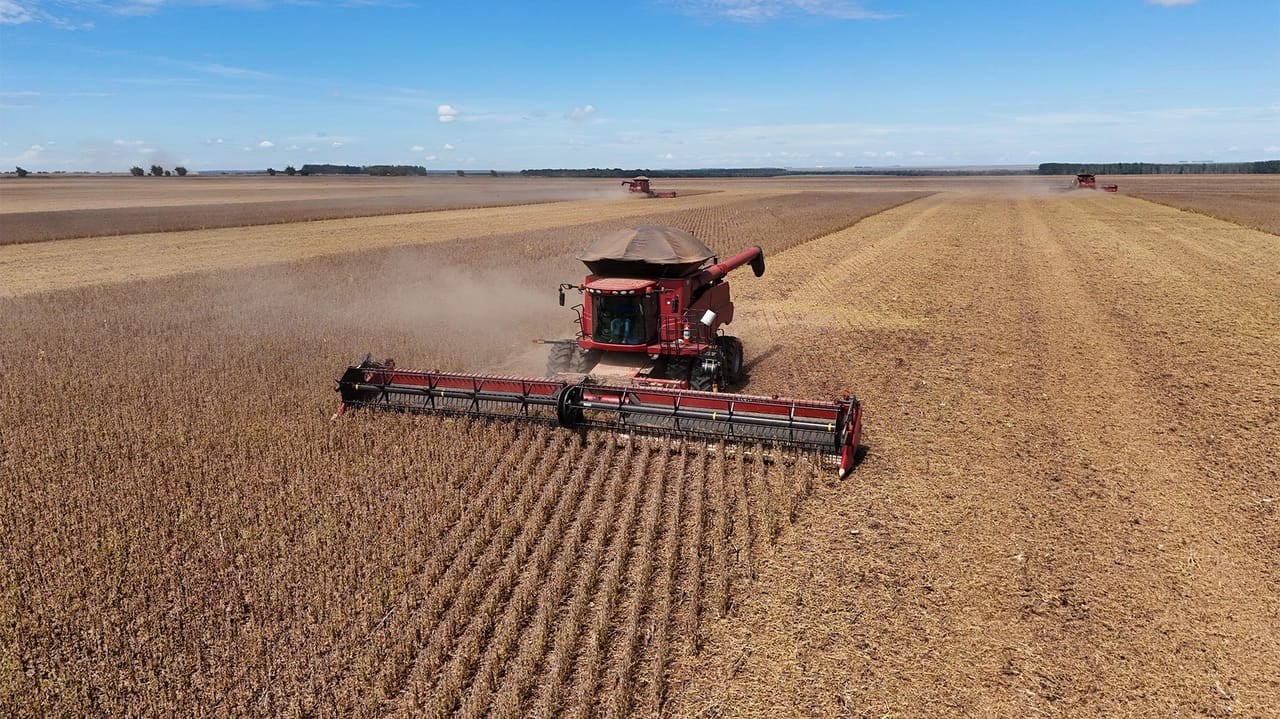 Red combine harvester cutting a field of ripe soybeans under a blue sky in Brazil