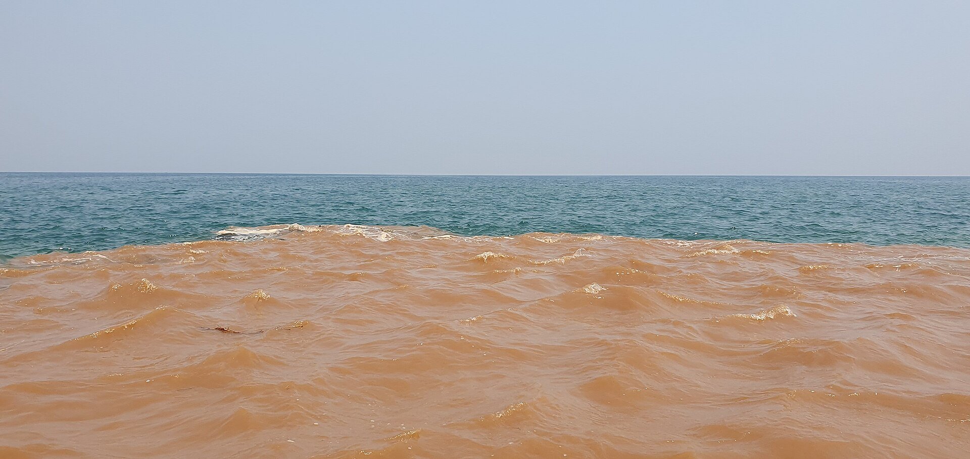 The brown water of the Ruzizi River meeting the blue water of Lake Tanganyika.