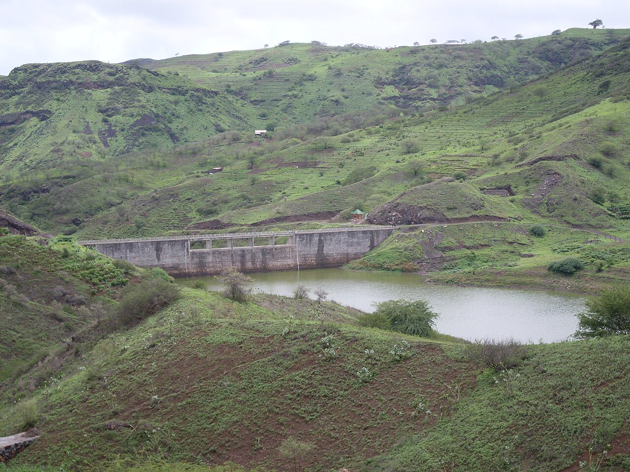 A small concrete dam holding a pond among green terraced hills on Santiago island, Cabo Verde