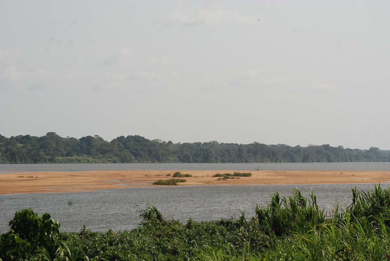 A wide river with a sandbar in the middle and a line of green forest on the far bank under a pale sky.