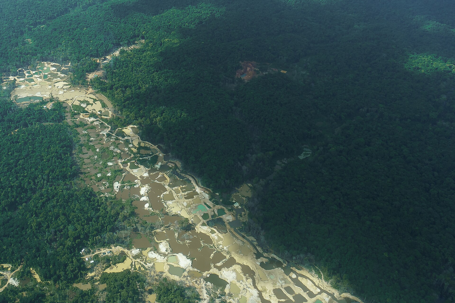 Aerial view of gold mining pits and tailings ponds cutting through dense rainforest in Guyana