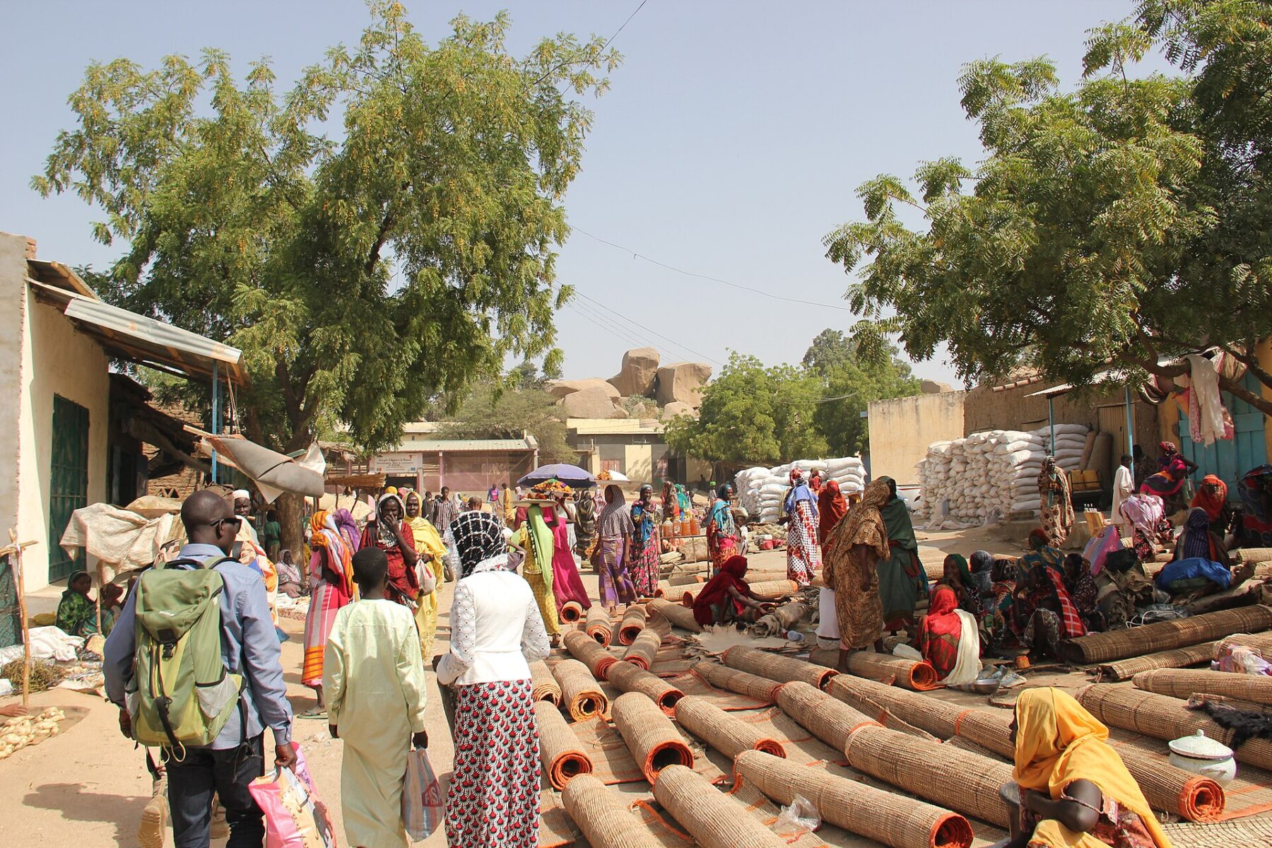 Traders and shoppers at the weekly market in Bitkine, Guéra province, Chad, with woven mats and sacks of grain on display.