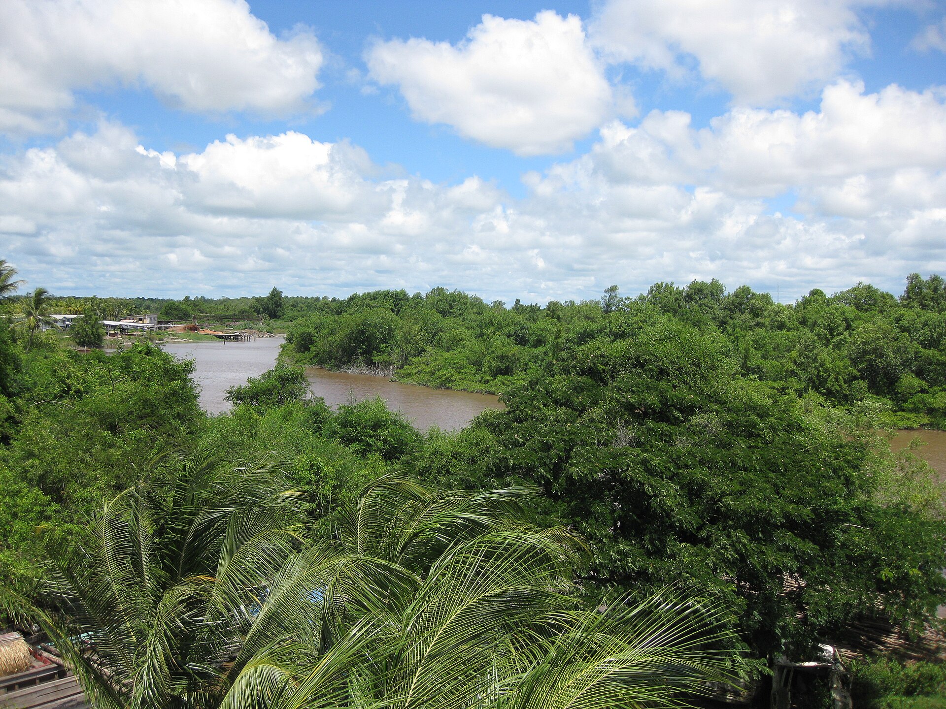 The Canje River and mangrove forest seen from the Canje Bridge in New Amsterdam, Berbice, Guyana