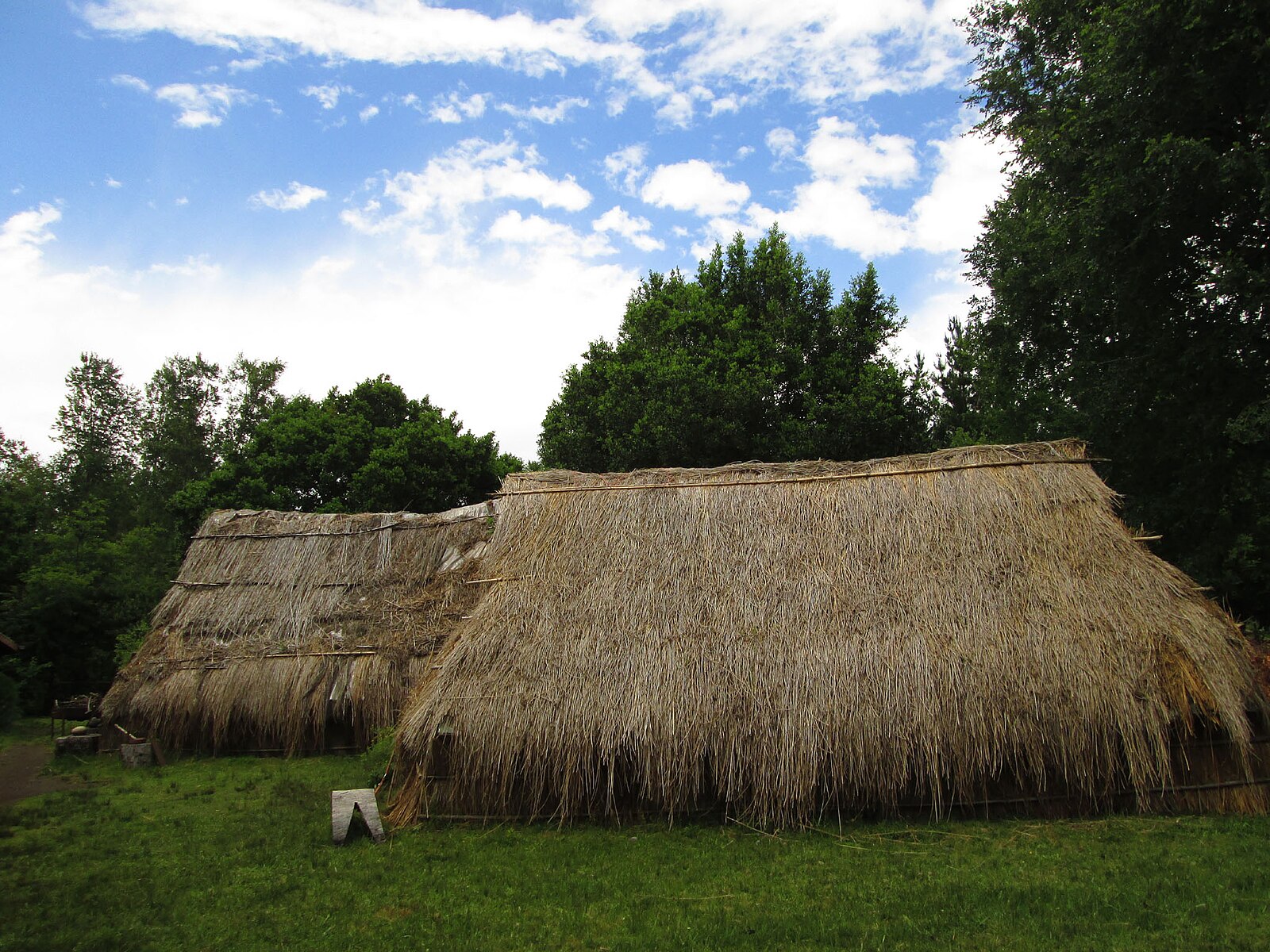 Chile population and indigenous peoples: thatched Mapuche ruka houses