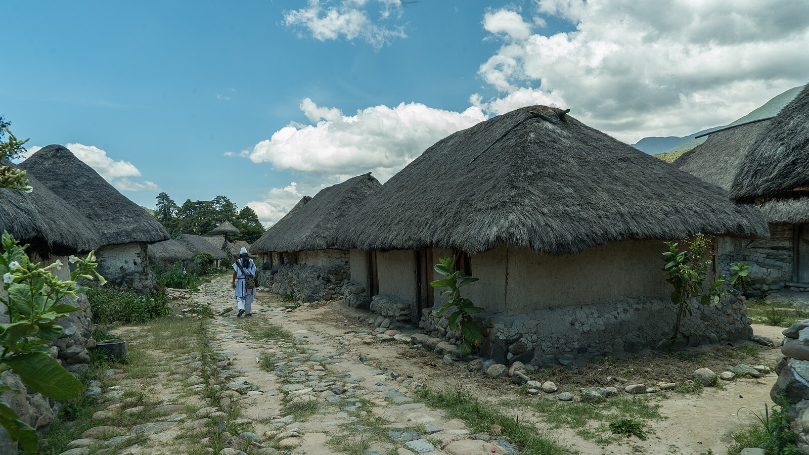 Colombia population: thatched houses in Nabusimake in the Sierra Nevada de Santa Marta