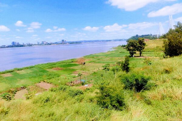 Market-garden plots on the bank of the Congo River in Brazzaville, with the far bank and a bridge in the distance