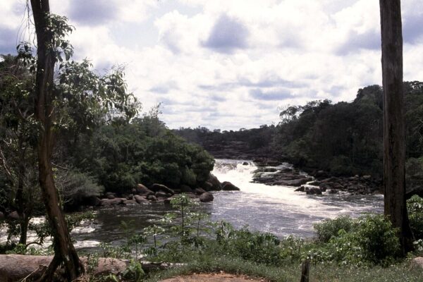 Rapids on the Corantijn River, called Wonotobo Falls, between forested banks on the border of Suriname and Guyana