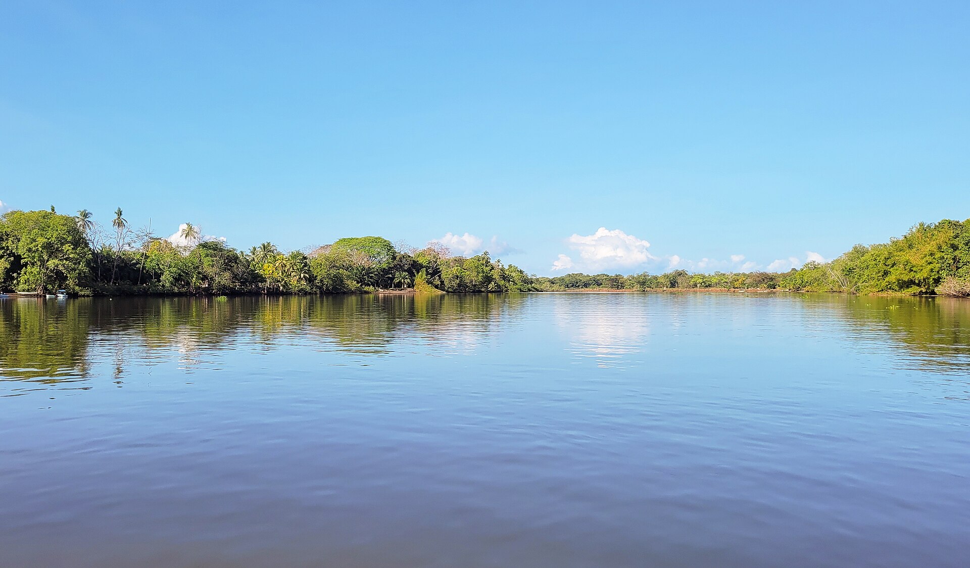 The Sierpe River in southern Costa Rica, flanked by mangrove forest