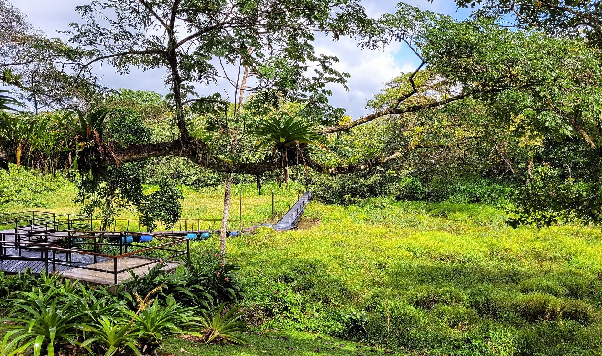 Walkway through wetland vegetation at the Caño Negro Wildlife Refuge in Los Chiles, northern Costa Rica