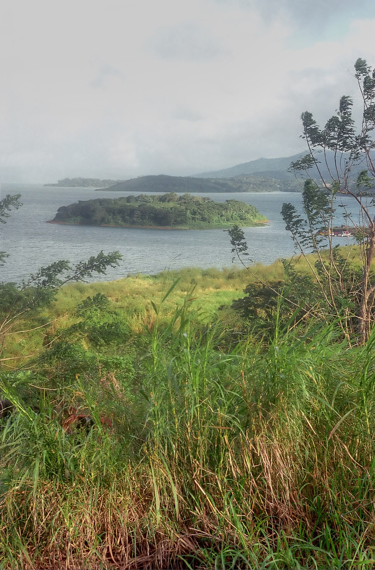 A forested islet in a grey-blue lake with green hills and grass in the foreground in northern Costa Rica.