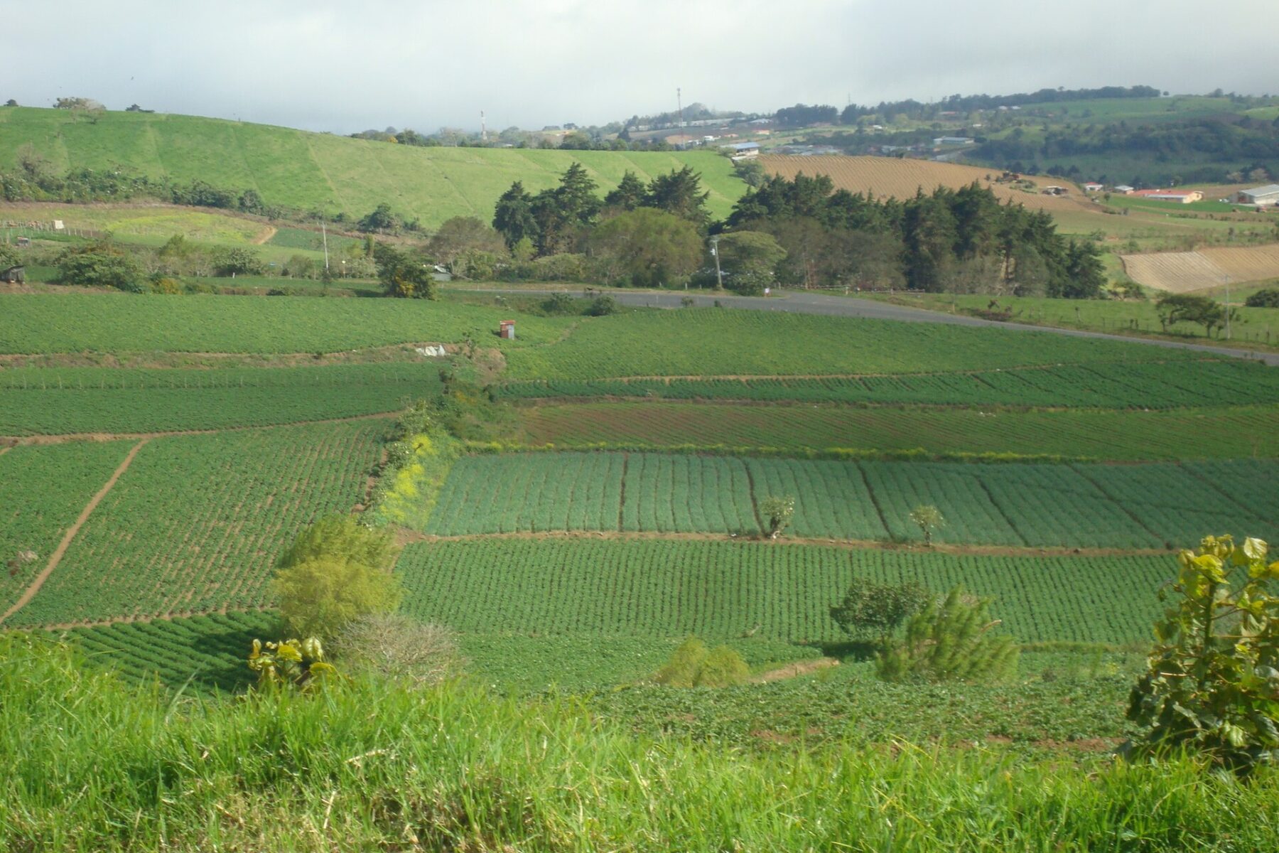 Farm fields in the countryside of Oreamuno, Cartago province, Costa Rica