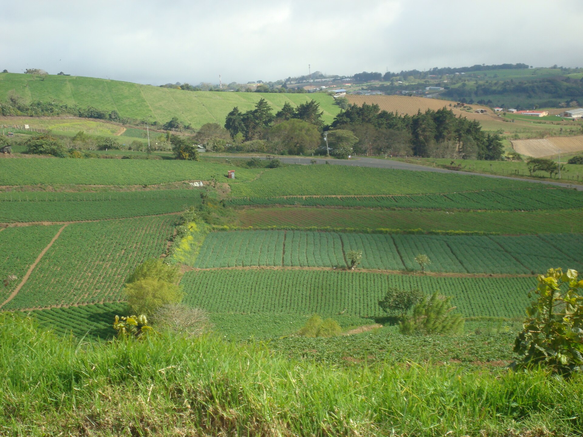 Farm fields in the countryside of Oreamuno, Cartago province, Costa Rica