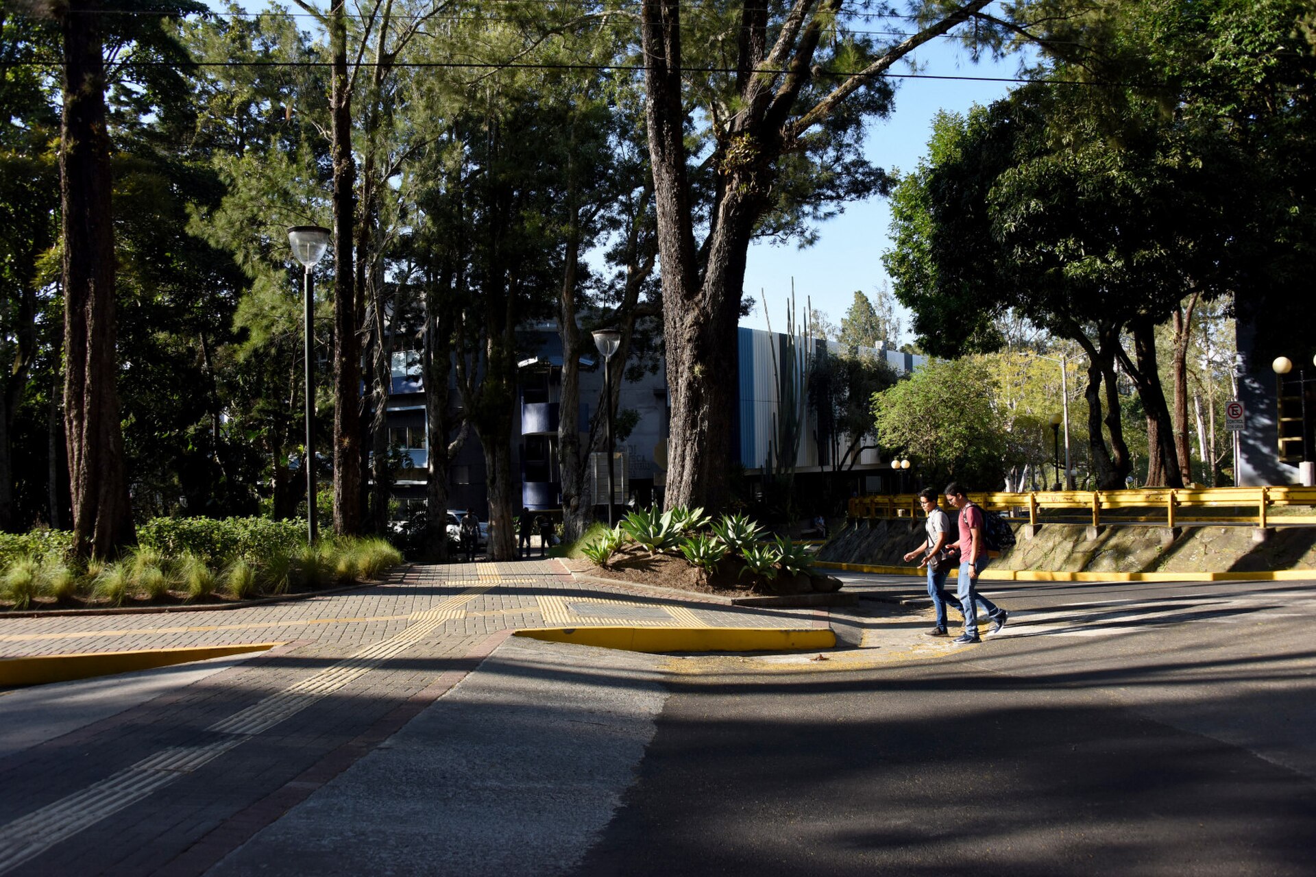 Two students cross a street on the Rodrigo Facio campus of the University of Costa Rica in San Pedro, under tall trees