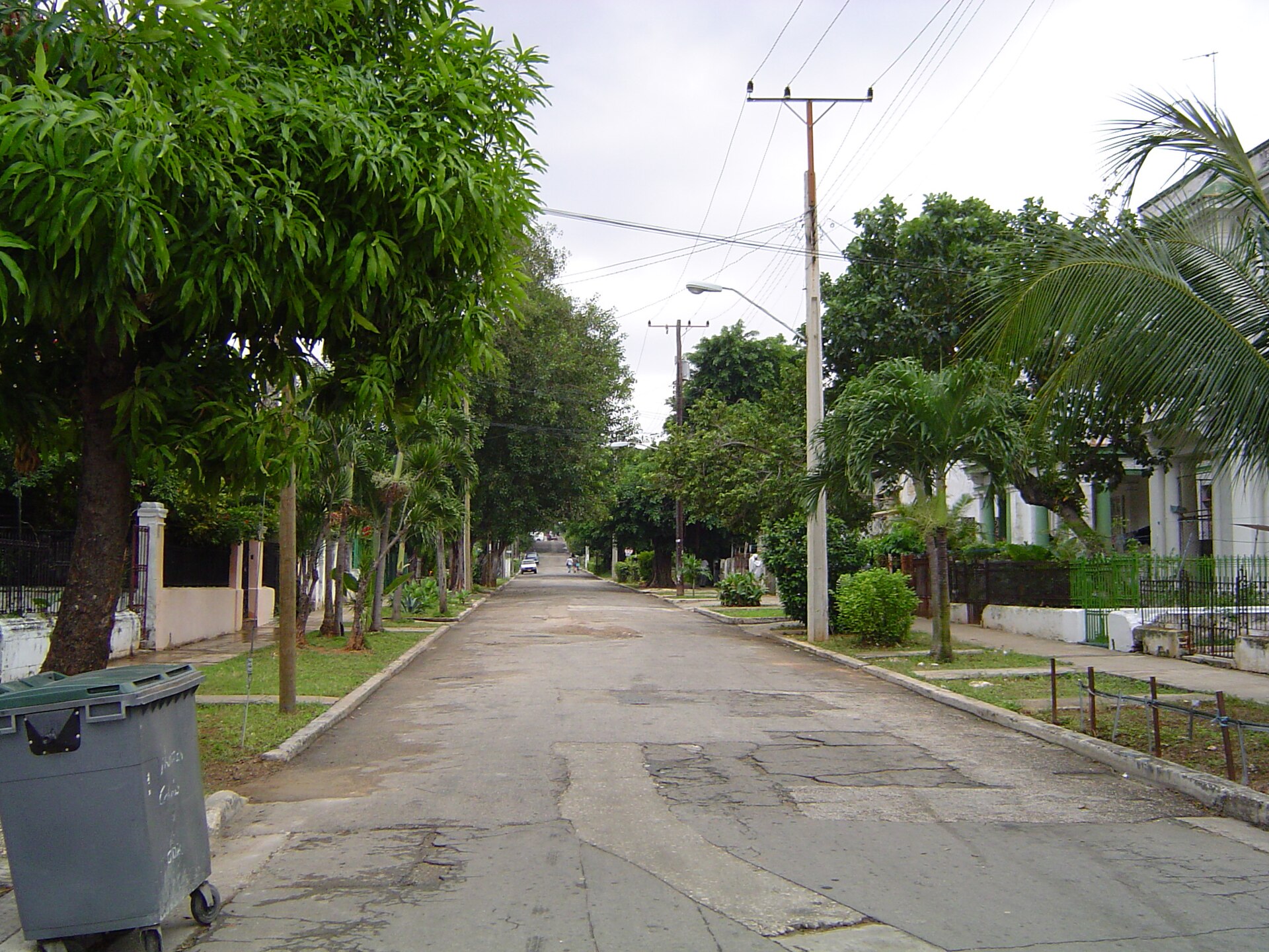 A tree-lined residential street in Havana with utility poles and overhead wires