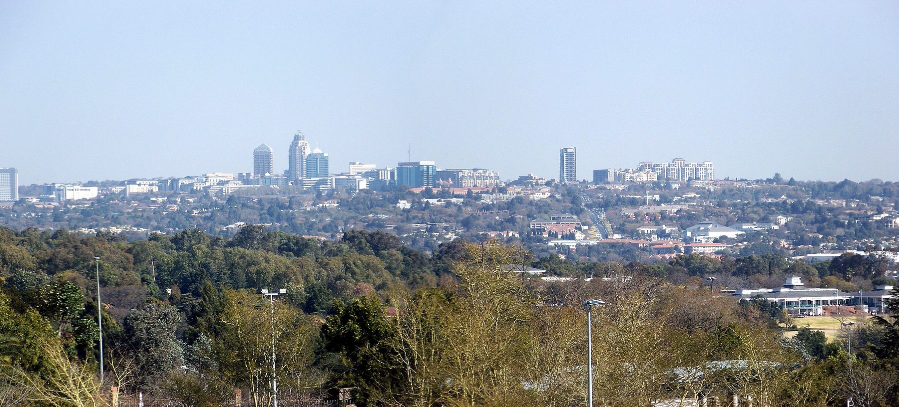 Distant skyline of Sandton, the business district of Johannesburg, rising above trees under a pale blue sky