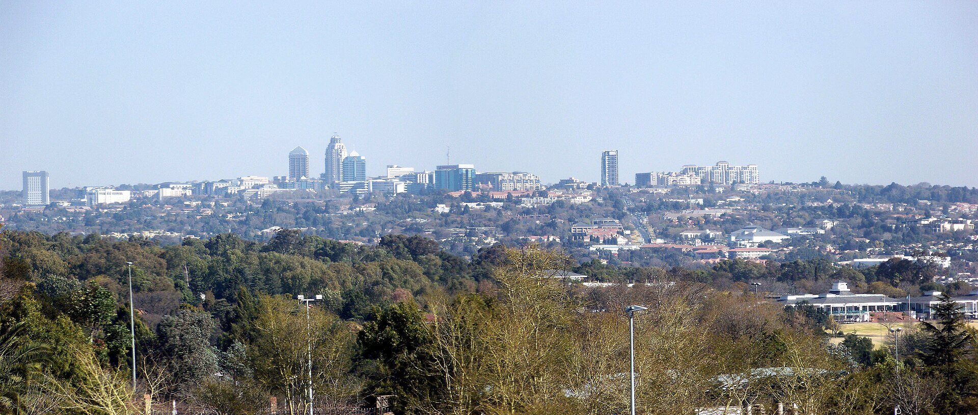 Distant skyline of Sandton, the business district of Johannesburg, rising above trees under a pale blue sky