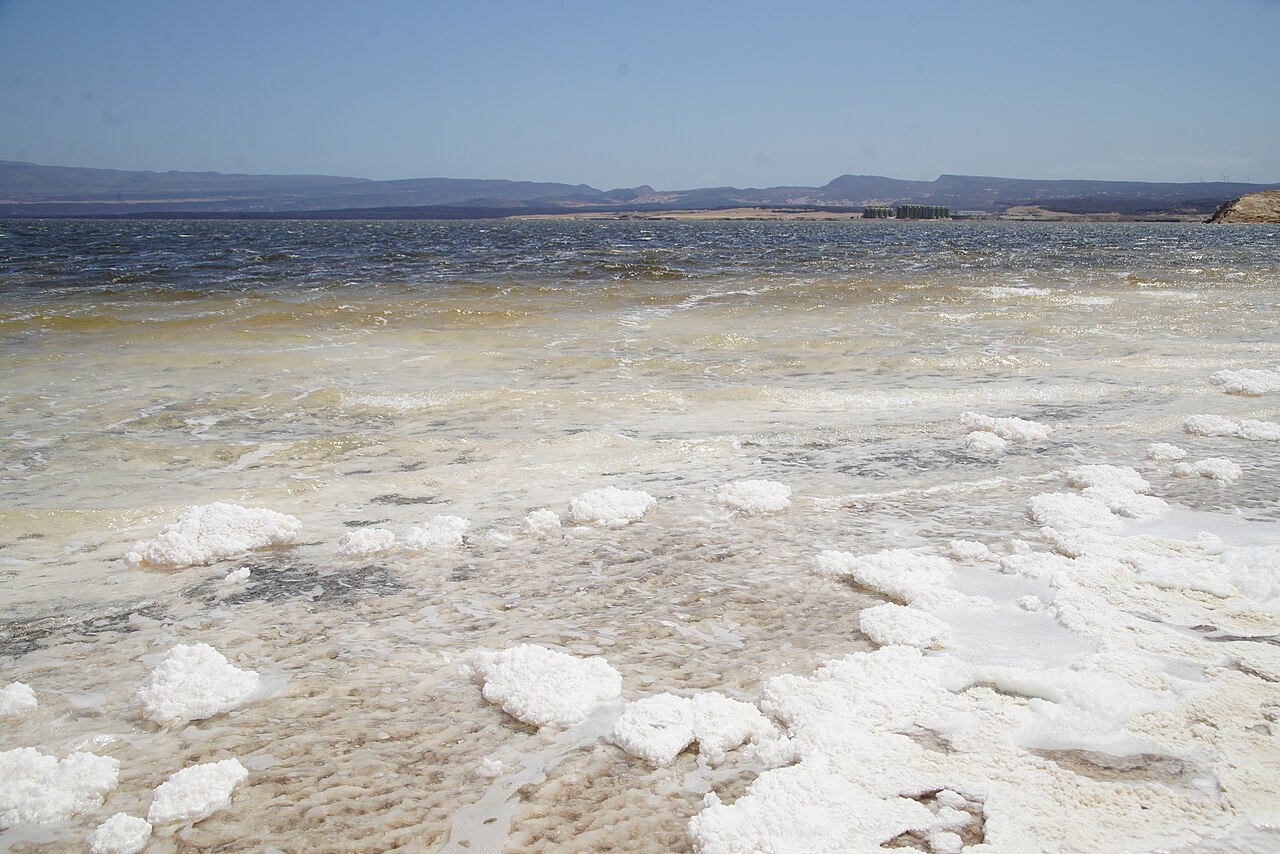 Salt crusts along the shore of Lake Assal with desert hills in the distance