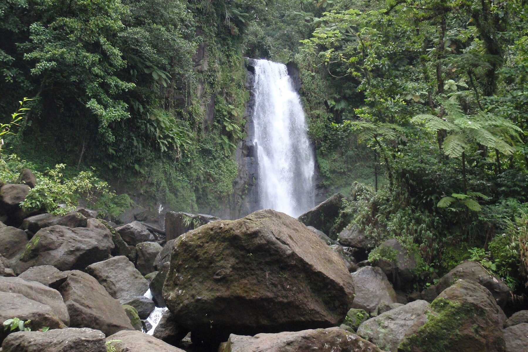 Waterfall dropping through rainforest at Trafalgar Falls, Dominica