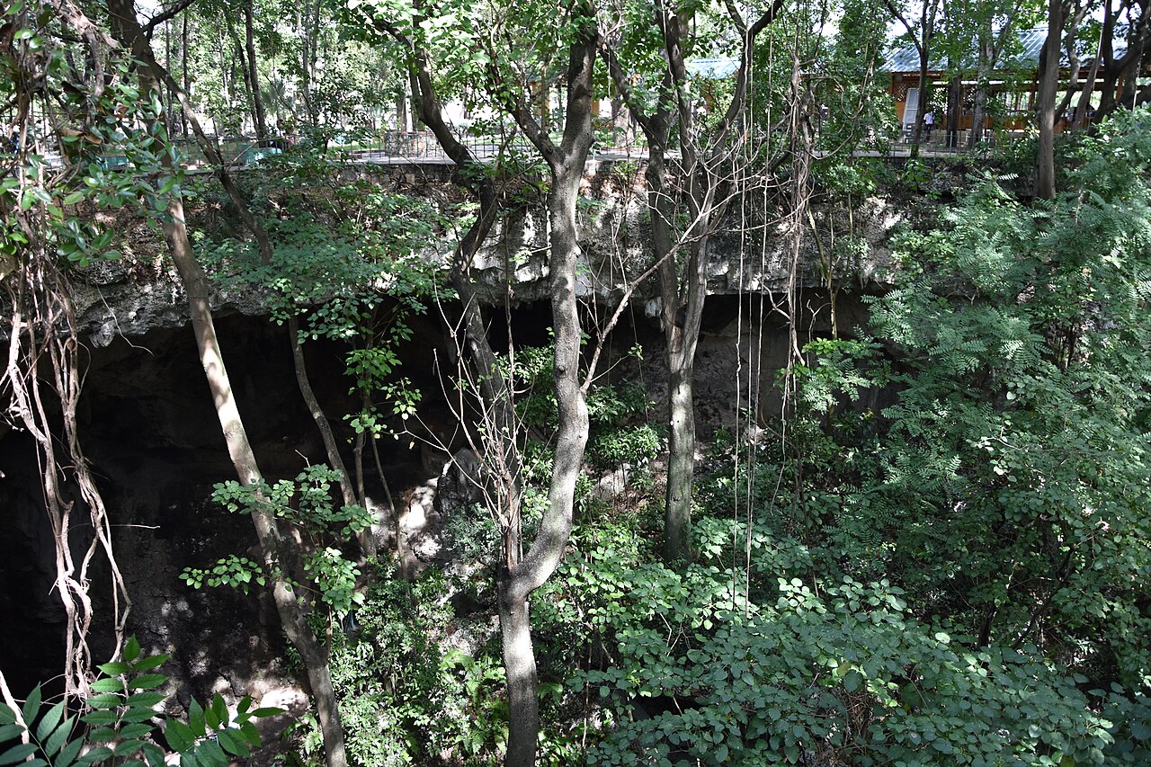 Trees and hanging roots above the limestone sinkhole of Los Tres Ojos national park, with a railed walkway at the top
