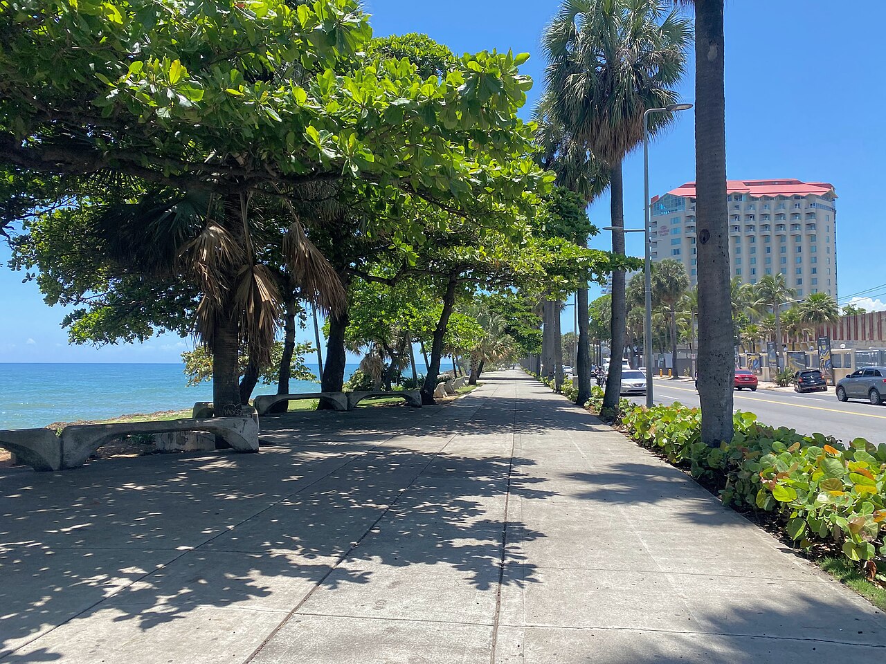 Tree-lined seafront promenade on the Malecón in Santo Domingo, with the Caribbean Sea on the left and a high-rise hotel beside the avenue on the right