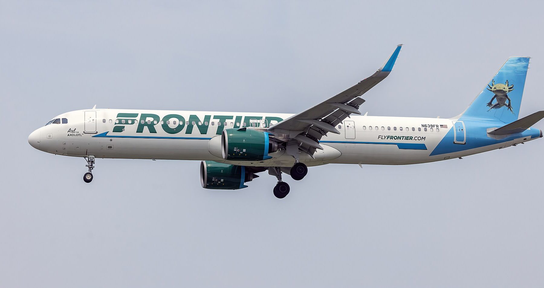 A white Frontier Airlines Airbus A321neo with a blue tail showing an axolotl, landing gear down, against a grey sky