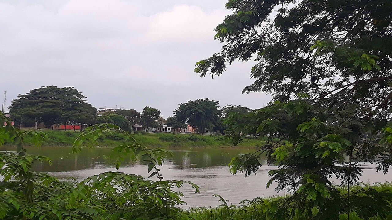 Brownish water of the Babahoyo river under a grey sky, seen through green branches, with trees and houses on the far bank