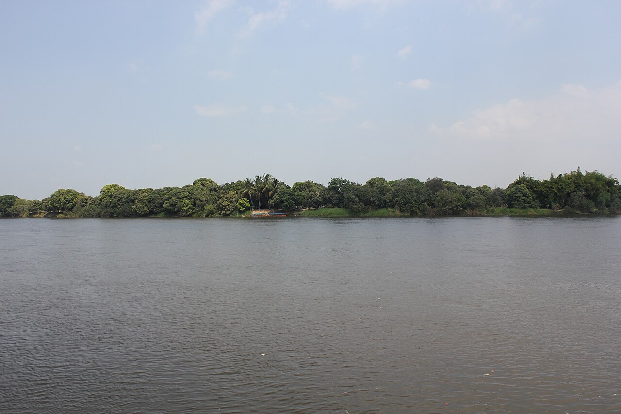 Wide grey-brown Daule river with a low bank of green trees and palms on the far side under a hazy sky