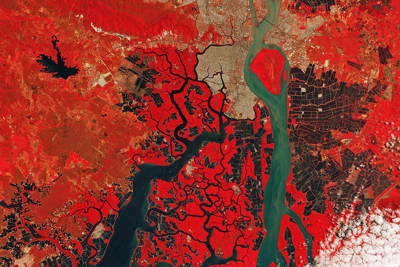 Satellite image of shrimp farms and mangroves in the Guayas Estuary near Guayaquil, Ecuador