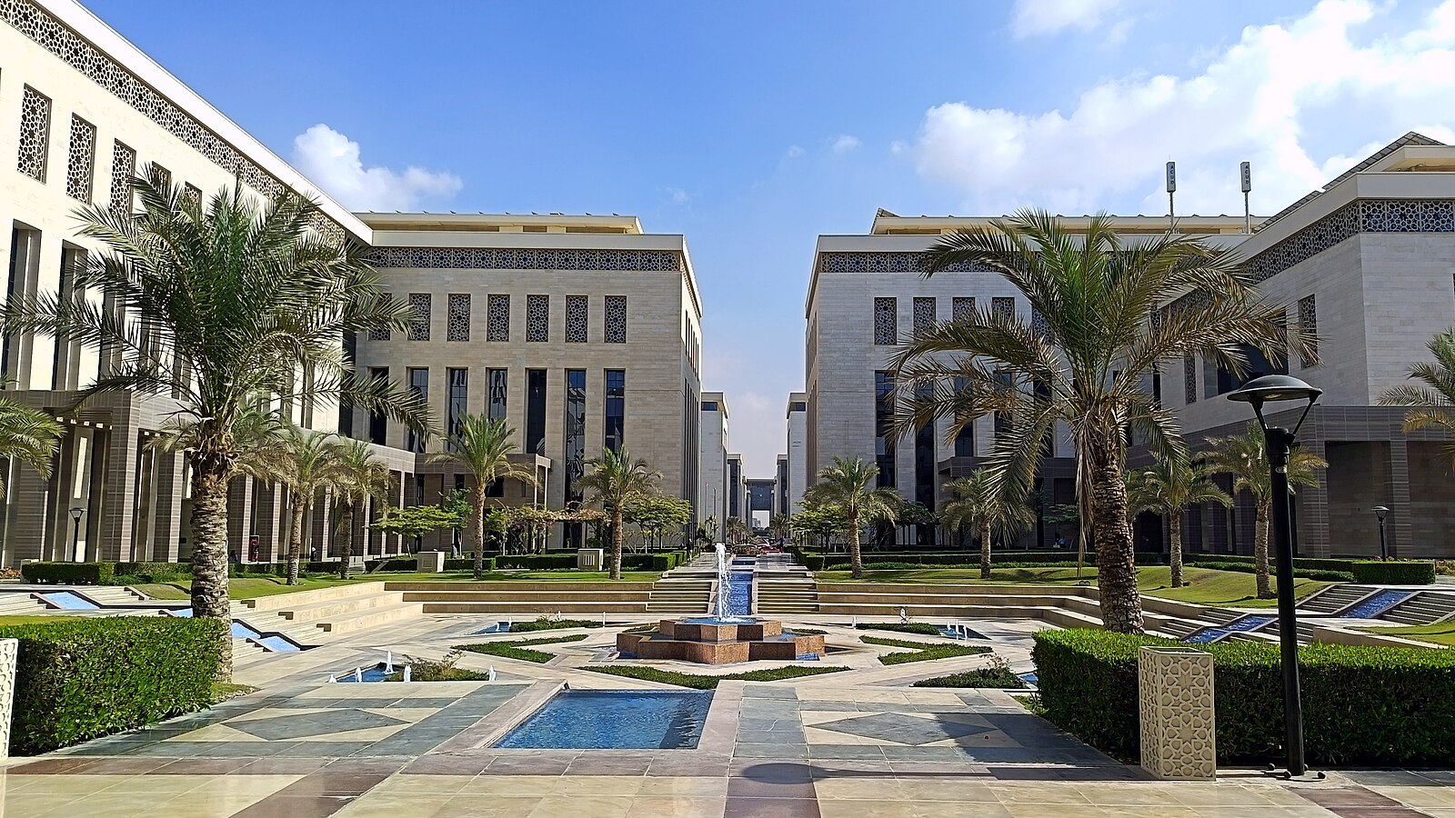 Who Dominates Egypt, Elites and Regions Explained