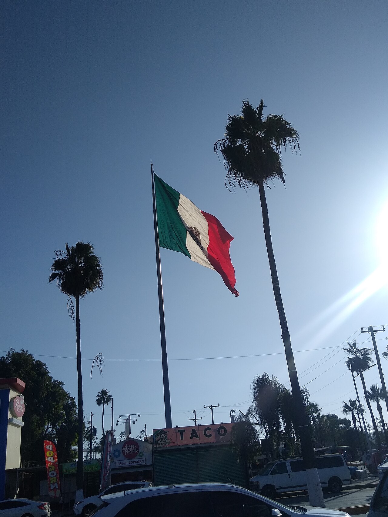 Giant Mexican flag flying above palm trees and street stalls in Ensenada, Baja California