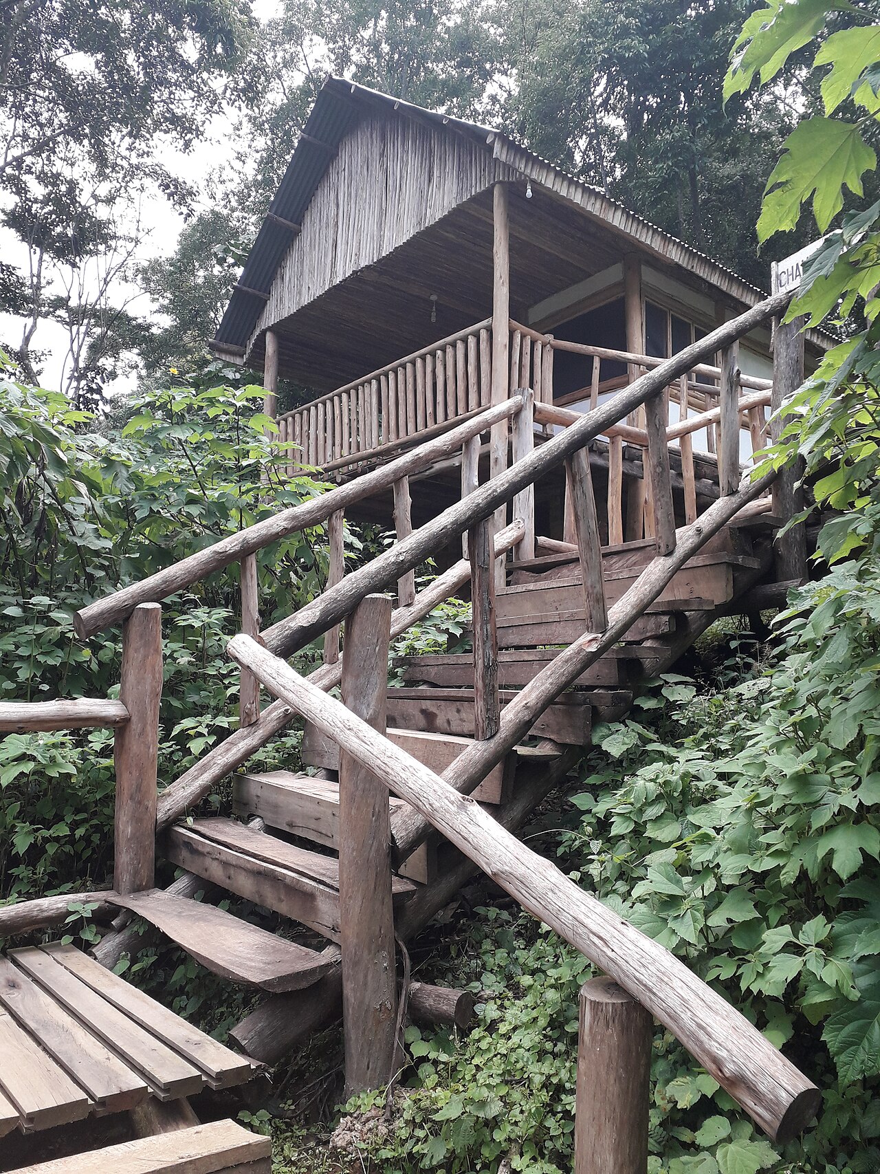 Wooden guest cabin with a veranda on a stilted staircase in forest at Buhoma, Uganda