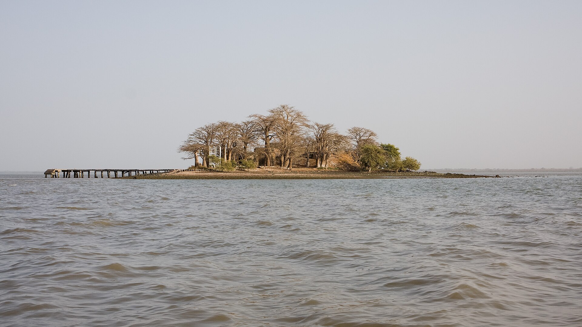 Baobab trees and a ruined wooden jetty on James Island, The Gambia, seen from the water