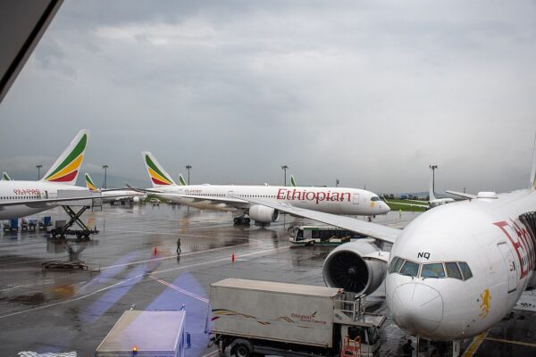 Several Ethiopian Airlines passenger jets parked on a wet apron at Bole International Airport under grey clouds, with a catering truck in front