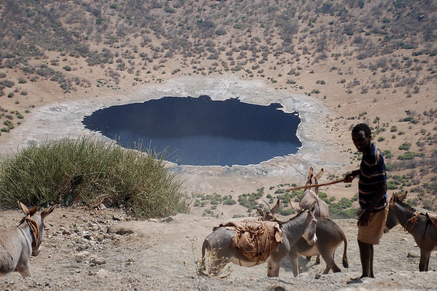 A Borana herder leads donkeys down the inner slope of El Sod crater in southern Ethiopia, with the crater lake below