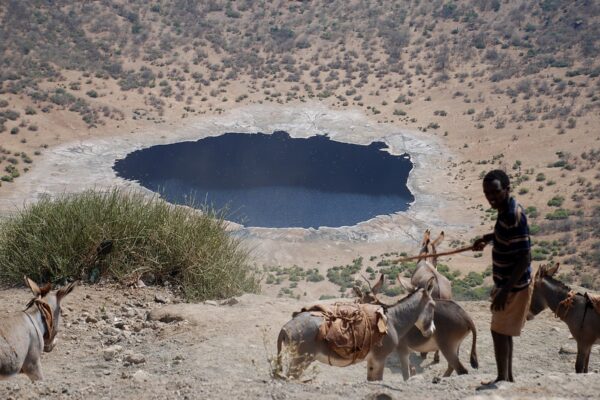 A Borana herder leads donkeys down the inner slope of El Sod crater in southern Ethiopia, with the crater lake below