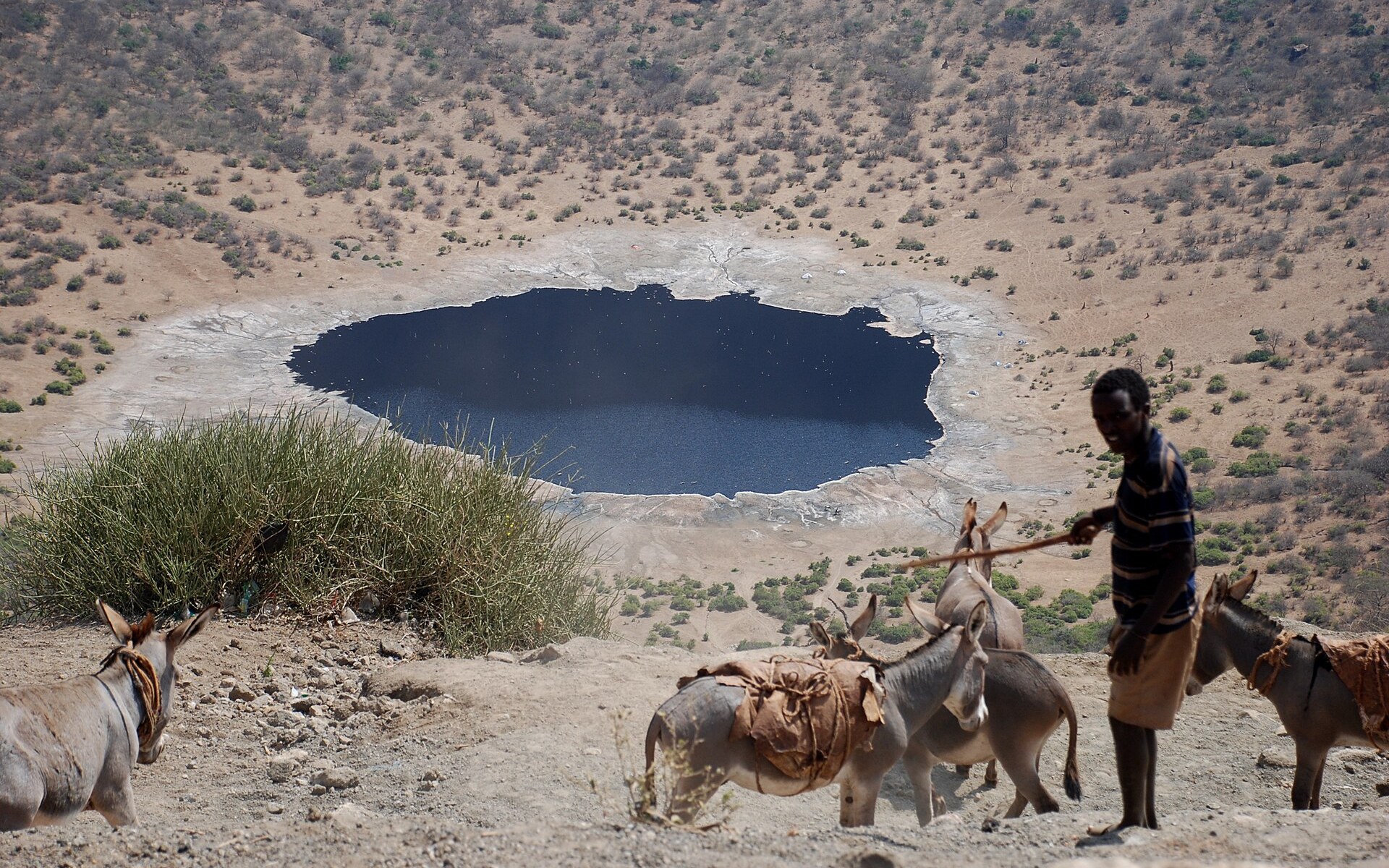 A Borana herder leads donkeys down the inner slope of El Sod crater in southern Ethiopia, with the crater lake below