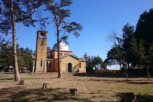 An Ethiopian Orthodox church with a bell tower and white dome among cypress trees, in Ejersa Goro, Ethiopia