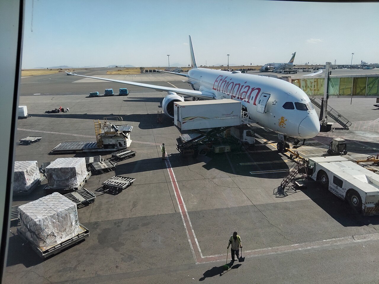 Ethiopian Airlines jet at a gate at Addis Ababa Bole International Airport with baggage carts, cargo pallets and a ground worker on the apron
