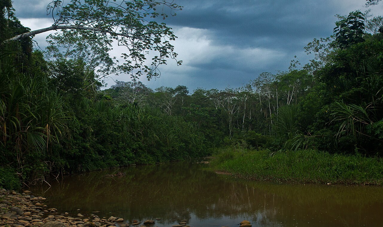 Bolivia gold mining - The Madidi river edged by dense rainforest in Madidi National Park, La Paz, Bolivia