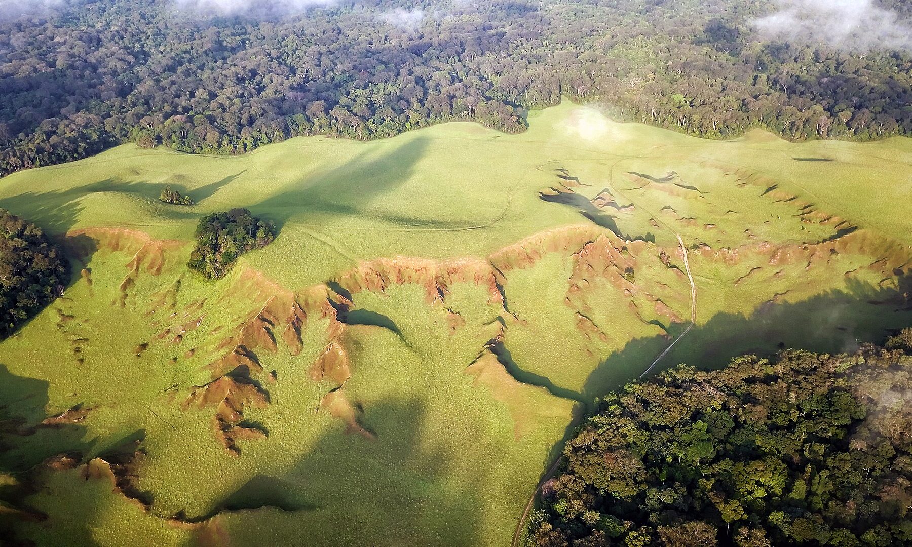 Aerial view of rainforest and green savanna with red erosion gullies at the Plaine aux Images in the Nyonié area of western Gabon.