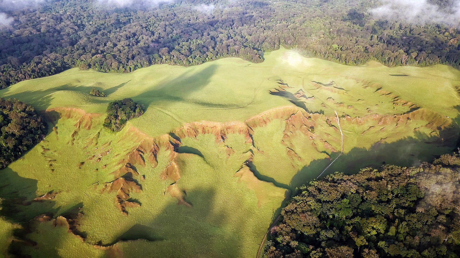 Aerial view of rainforest and green savanna with red erosion gullies at the Plaine aux Images in the Nyonié area of western Gabon.